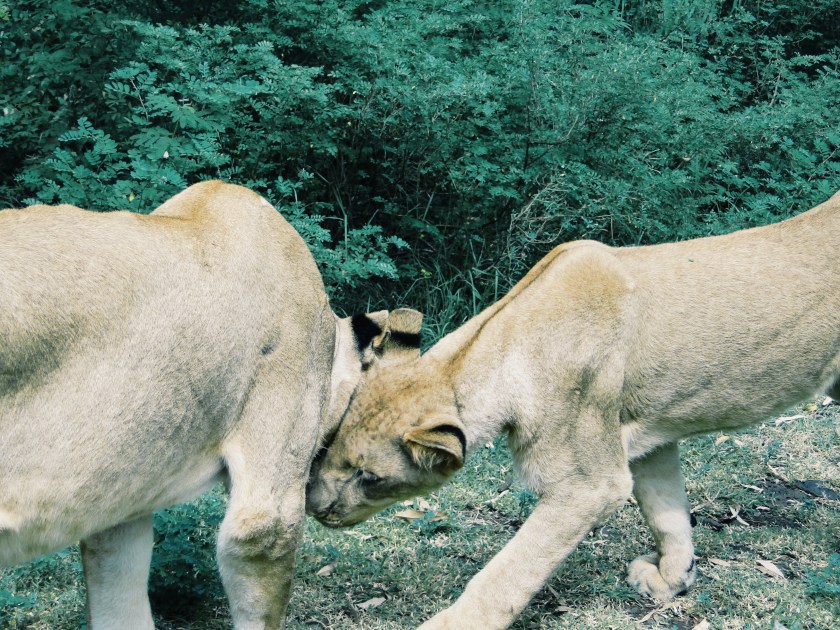 Processed with VSCOcam with g3 preset