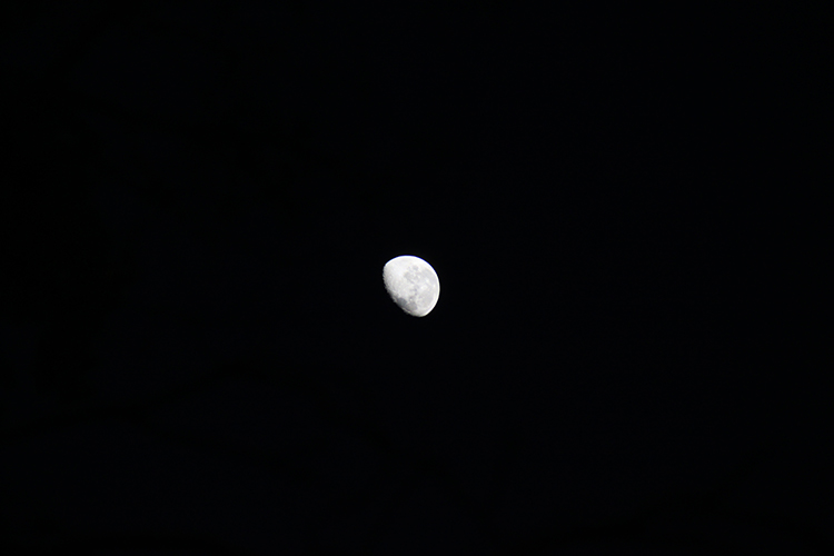 Moon