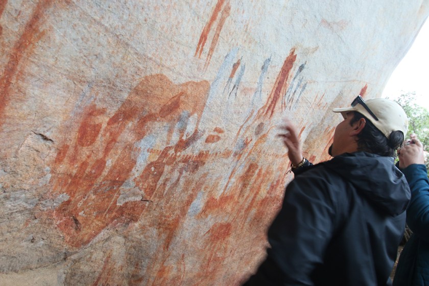 Bushmans Kloof rock art 13