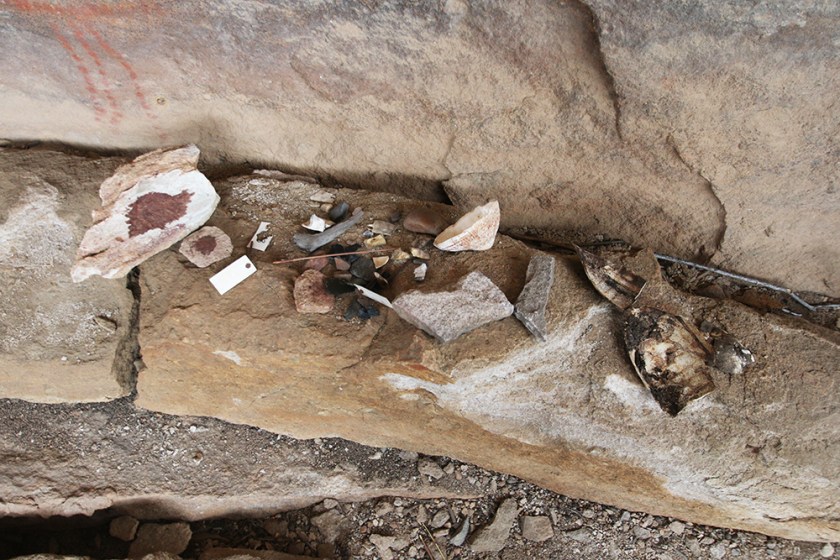 Bushmans Kloof rock art 14