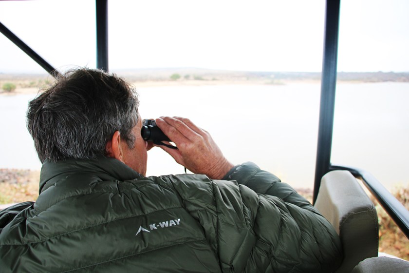 Bushmans Kloof rock art 5